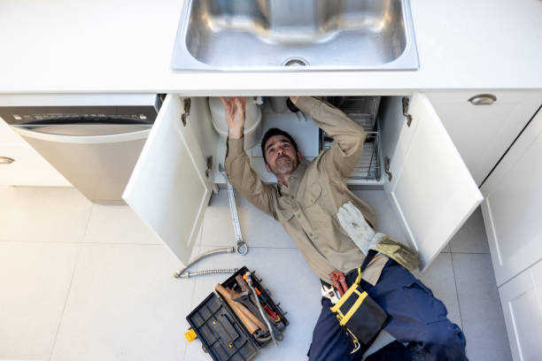Best Clogged Drain Plumber  in Pea Ridge, FL