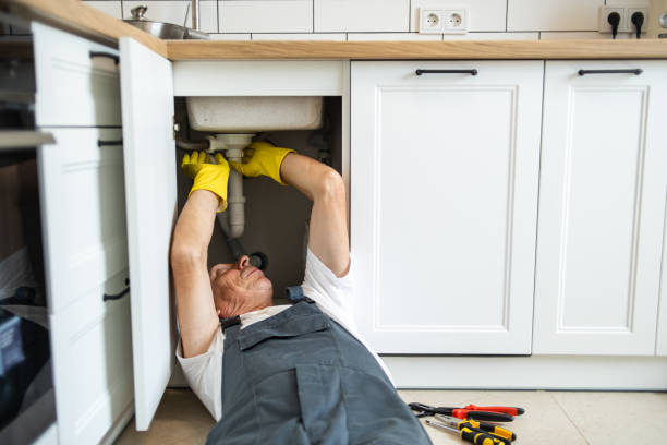 Best Plumbing Repair Near Me  in Pea Ridge, FL