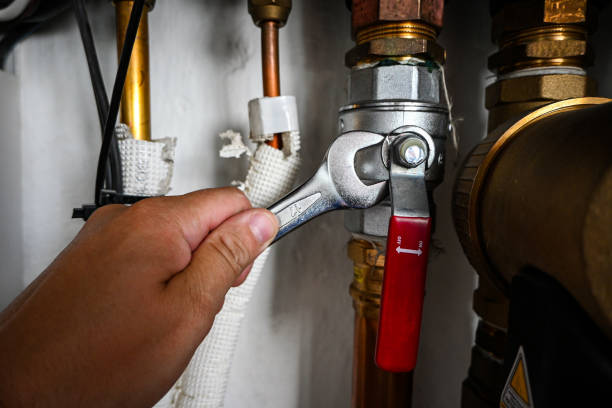 Best Plumbing Inspection Services  in Pea Ridge, FL